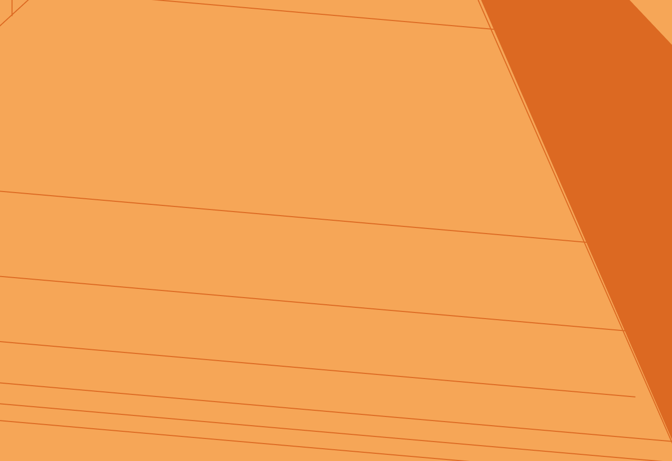 Technical audits with prioritised recommendations.